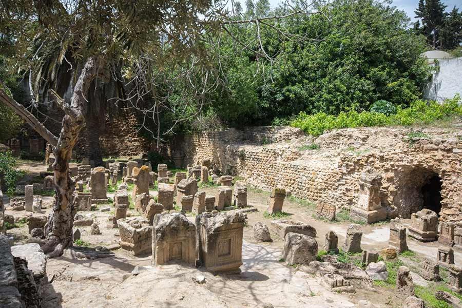 Dar Mayya La Marsa Dış mekan fotoğraf