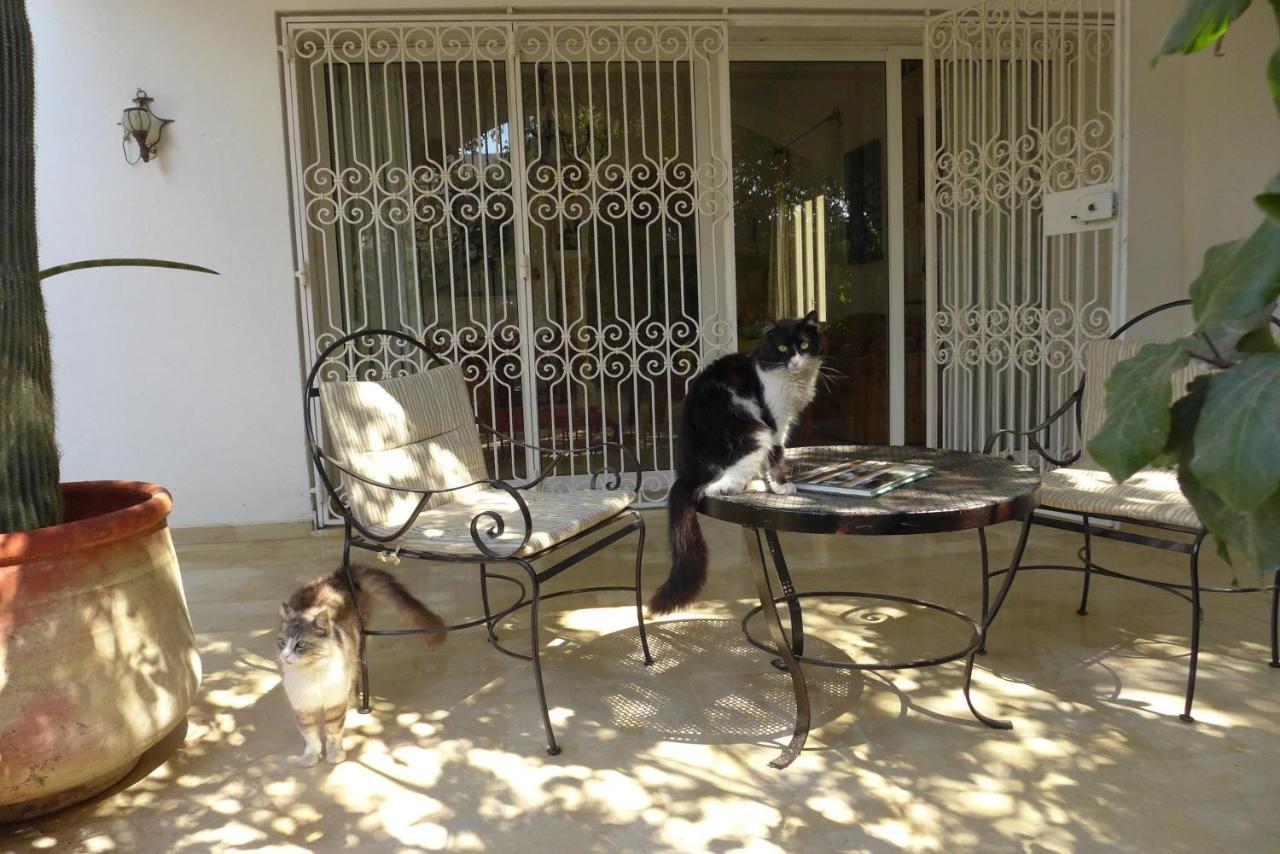 Dar Mayya La Marsa Dış mekan fotoğraf